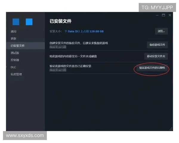 网易游戏更新后黑屏如何解决详细步骤及常见问题排查方法